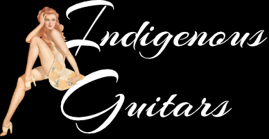 Indigenous Guitars